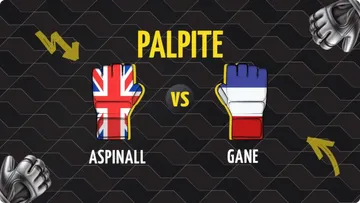 Palpite Aspinall x Gane: Previsões, Odds e Onde Assistir