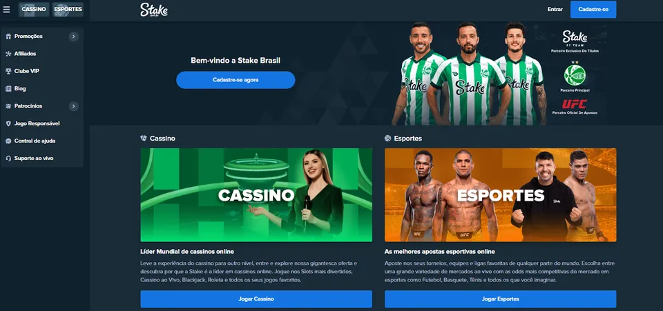 Stake Casino Interface