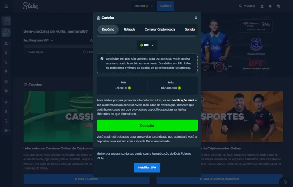 Página de Depóstio Stake: setor de depósito via Píx da plataforma, com o fundo escuro e informações em verde ou branco.